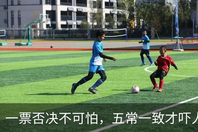 一票否决不可怕，五常一致才吓人，五双手同时举就有国家要变天