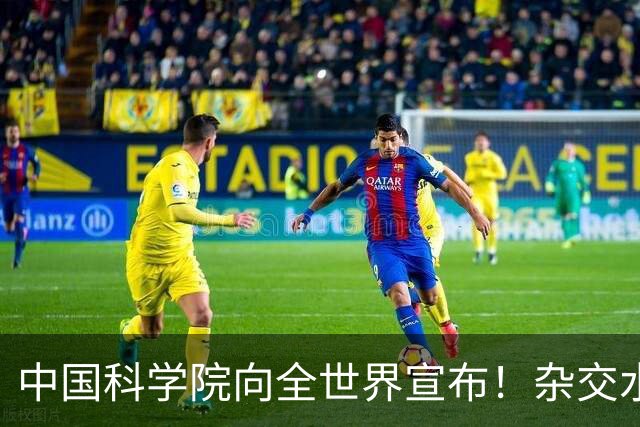 中国科学院向全世界宣布！杂交水稻技术再度突破，百年难题被破解