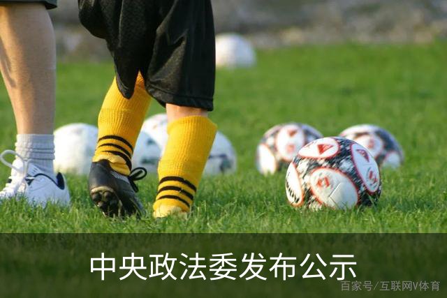 中央政法委发布公示