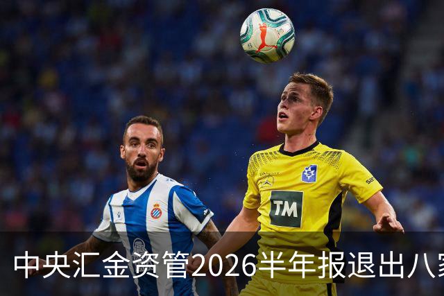中央汇金资管2026半年报退出八家火电上市公司前十大股东名单！