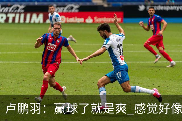 卢鹏羽：赢球了就是爽 感觉好像憋了一口气上不来 终于上来了