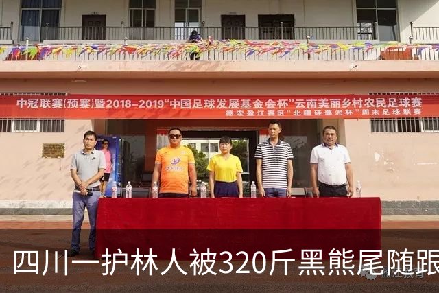 四川一护林人被320斤黑熊尾随跟了一天，无奈举起砍刀对峙