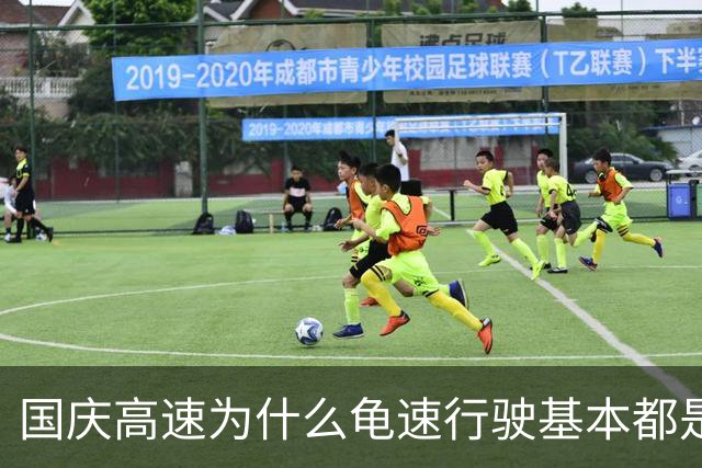 国庆高速为什么龟速行驶基本都是新能源？车主：开太快我怕没电啊