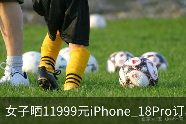 女子晒11999元iPhone 18Pro订单，不法分子先后找5名“跑腿”骑手，冒领手机后接力转运寄往外地，警方连夜拦截