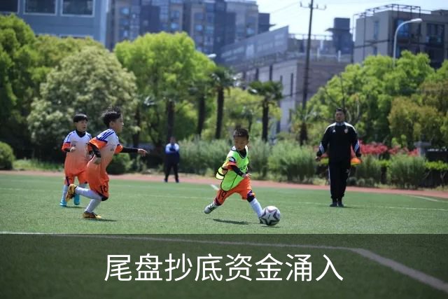 尾盘抄底资金涌入