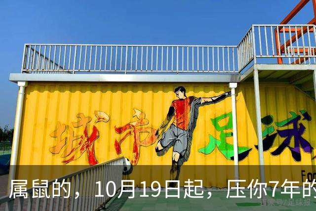 属鼠的，10月19日起，压你7年的死结，终于松了，从此一飞冲天