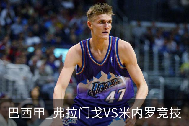 巴西甲 弗拉门戈VS米内罗竞技