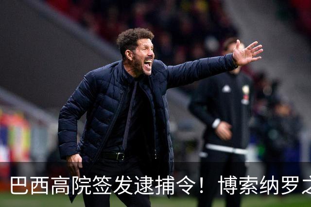 巴西高院签发逮捕令！博索纳罗之子被判4年2个月，护照直接注销