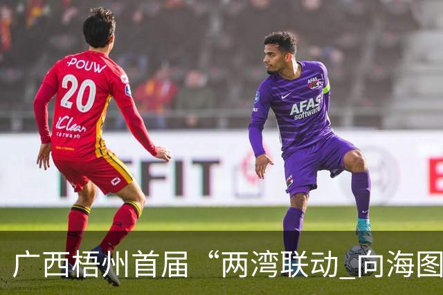 广西梧州首届“两湾联动 向海图强”龙舟邀请赛开赛 人工智能贯穿全程