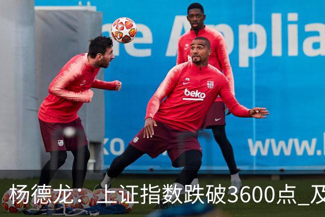 杨德龙：上证指数跌破3600点 及时出台强有力稳市场措施至关重要