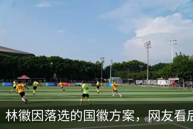 林徽因落选的国徽方案，网友看后感叹：审美确实厉害，但真不合适
