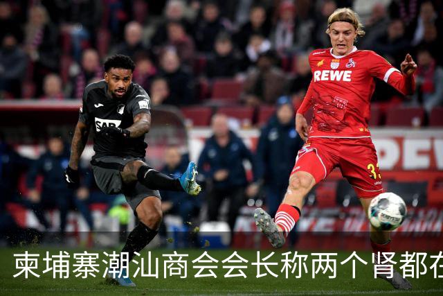 柬埔寨潮汕商会会长称两个肾都在！
