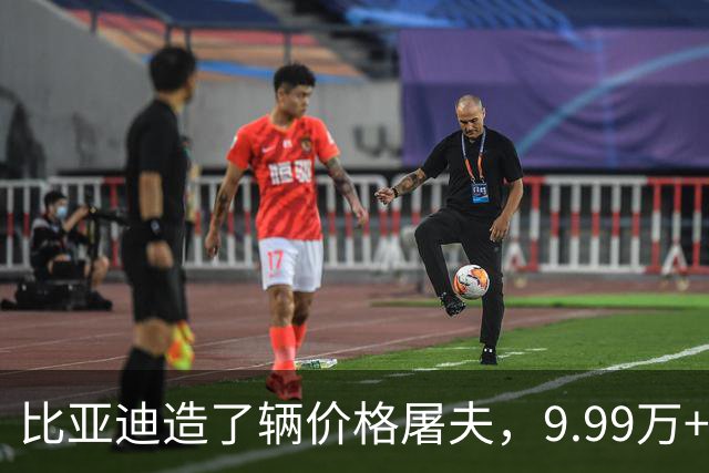 比亚迪造了辆"价格屠夫"，9.99万+220km纯电