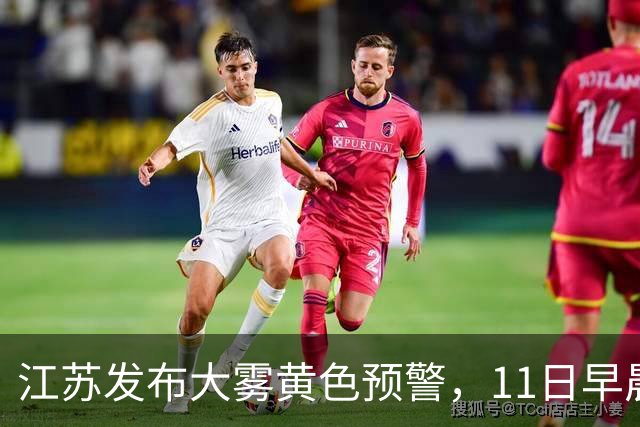 江苏发布大雾黄色预警，11日早晨局地能见度不足200m