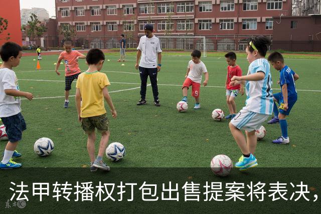 法甲转播权打包出售提案将表决，自营平台年入不足9000万欧