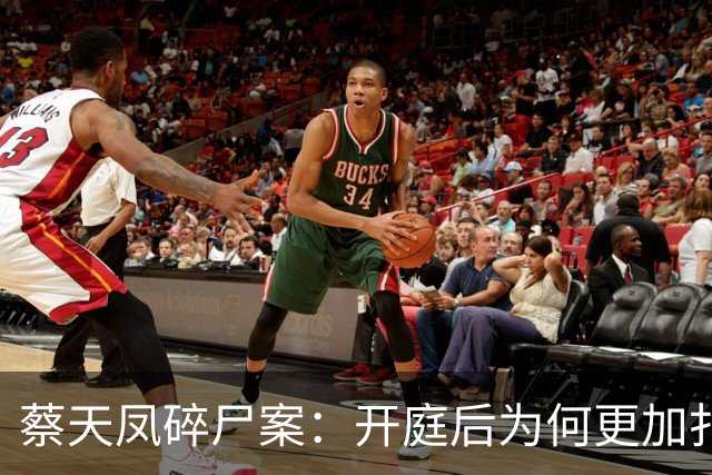 蔡天凤碎尸案：开庭后为何更加扑朔迷离？