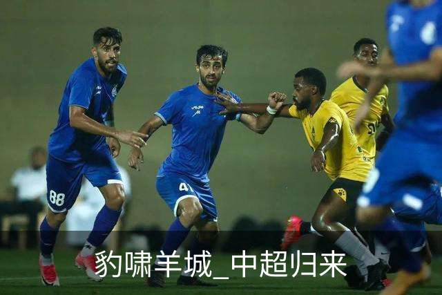 豹啸羊城 中超归来