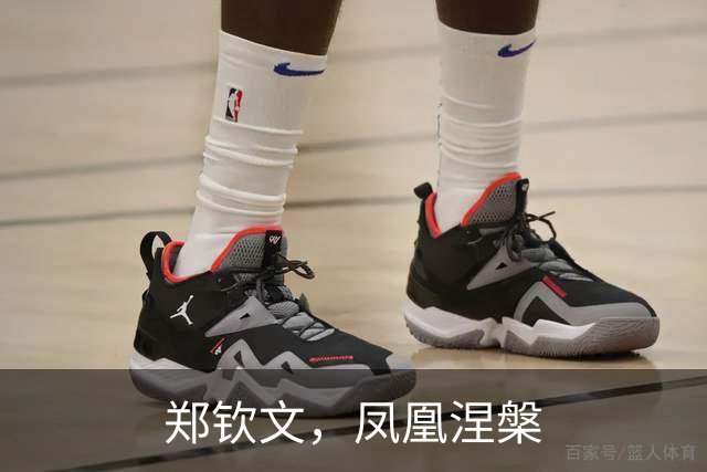 郑钦文，凤凰涅槃