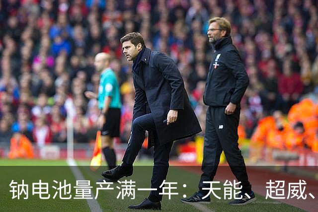 钠电池量产满一年：天能、超威、雅迪都下场，为什么电动车还是首选铅酸电池