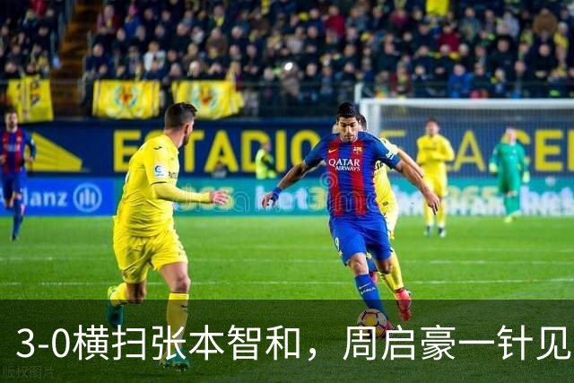 3-0横扫张本智和，周启豪一针见血，王皓王励勤起身鼓掌！张本世界第一破碎！蒯曼爆冷输削球黑马